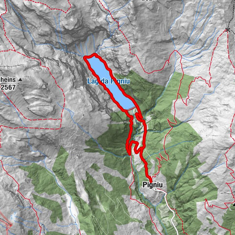 Trail run: Pigniu - Panixersee - Pigniu