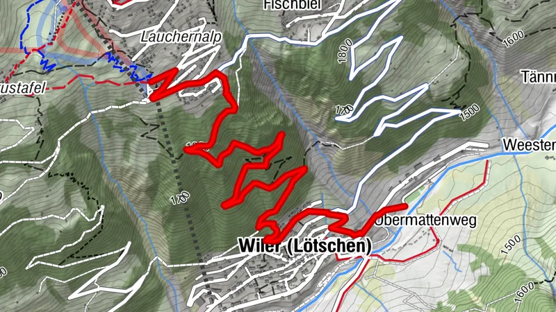 Marble run Lauchernalp - Wiler (Baann Forest)