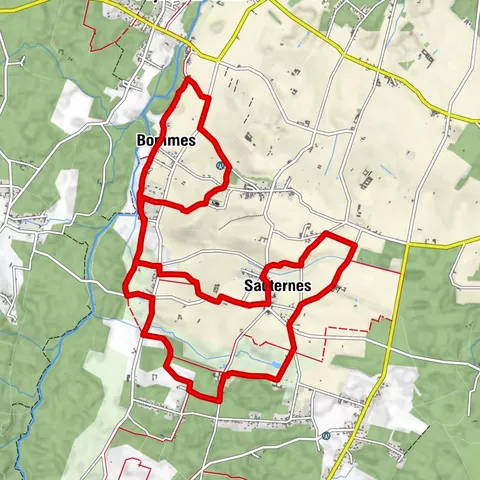 Grande boucle au coeur du vignoble de Sauternes
