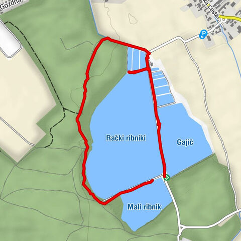 Rače Farm