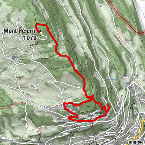 Le Mont-Pèlerin - Mont Pèlerin - Le Chalet du Mont-Pèlerin