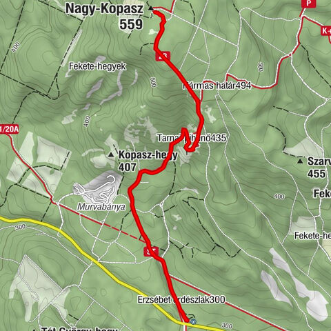 Erzsébet erdészlak - Tarnai-pihenő - Nagy-Kopasz