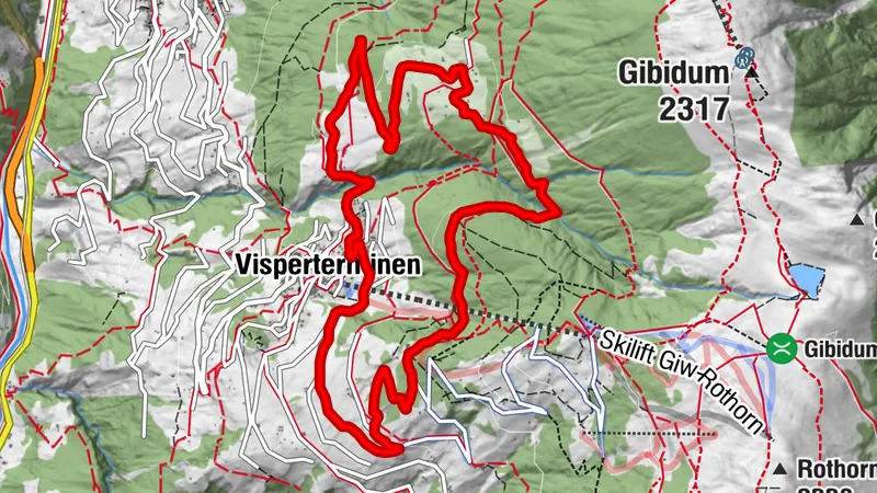 Bodmer Loop