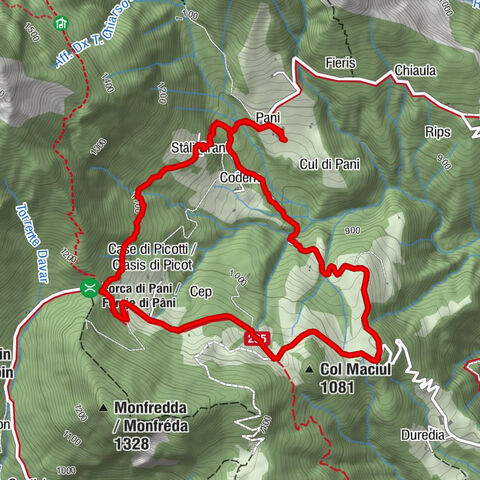 Pani loop