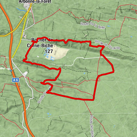 Arbonne-la-Forêt - Rocher de Corne-Biche