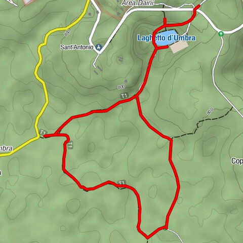 Monte Sant'Angelo - Falascone