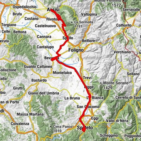 San Vitale - San Lorenzo - Chiesa di Sant'Andrea - Sant'Ansano