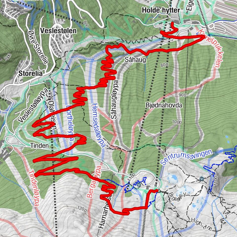 Hemsedal - Holde hytter