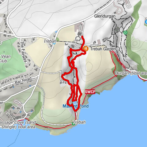 Mawnan - Trebah - Trebah Garden