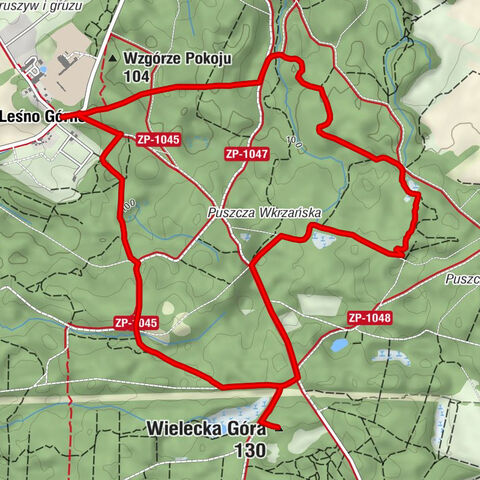 Leśno Górne - Wielecka Góra