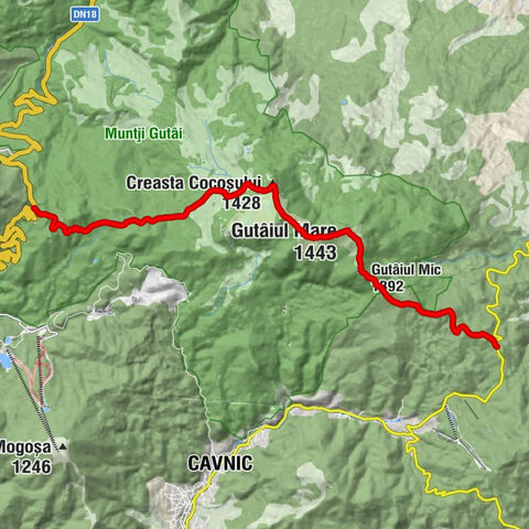 Pasul Gutâi - Creasta Cocoșului - Gutâiul Mare - Pasul Neteda