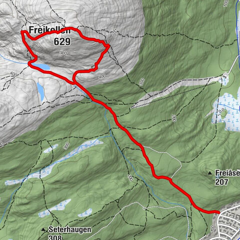 Storbakken - Freikollen