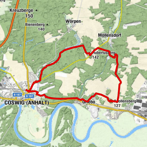 Coswig (Anhalt) - Apollensberg - Hubertusberg