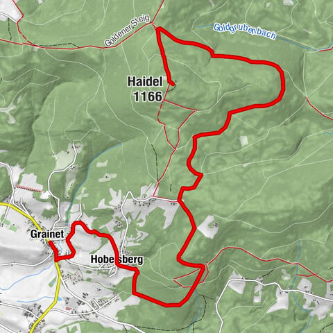 Wanderung zum Haidel mit herrlichen Panoramablick vom Haidel Aussichtsturm