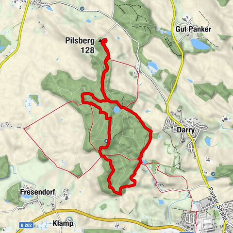 Wald hinterm Hessenstein