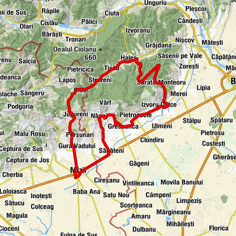 Mizil - Biserică - Biserica Strezeni - Biserica ortodoxă din lemn Sfinții Ioachim și Ana