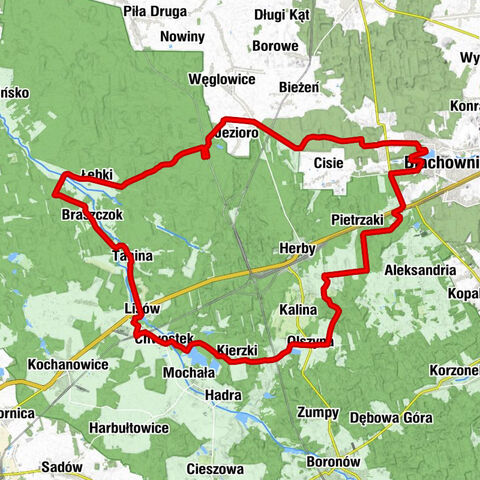 Lisów - Chwostek - Kościół pw. Wniebowzięcia Najświętszej Maryi Panny - Blachownia