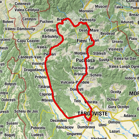 Târgoviște - Biserica Domnului - Pucioasa - Biserică