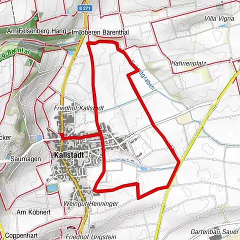 Wine hike: Kallstadt - Burgunderweg