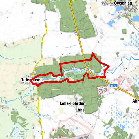 Wanderung bei Tetenhusen