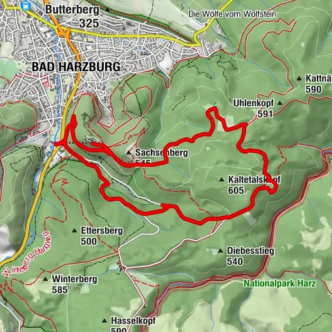 Unterwegs zu den Luchsen