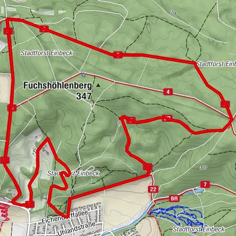 VitalWeg 5 – An den Hängen der Borntalwiesen 