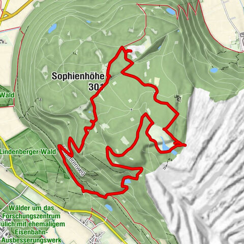 Sophienhöhe, vom Mammutwald zu den Wildpferden