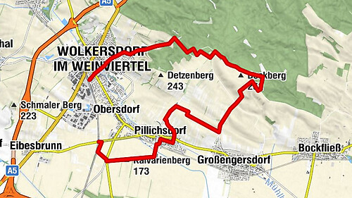 Hochleithenwald, Kellergassen, Hügelgrab