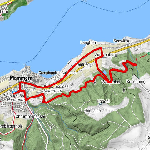 Circular hiking trail from Mammern on Lake Constance to the Neuburg ruins