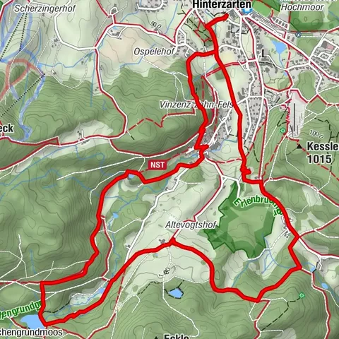 Mystical path to the Mathisleweiher pond